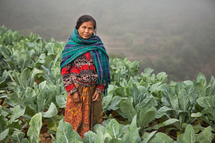 RS59583_NPL20151210_earthquakeresponse_ms0321-lpr